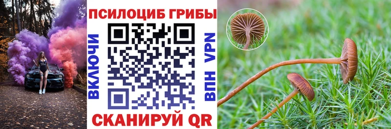 Галлюциногенные грибы ЛСД  Гремячинск 